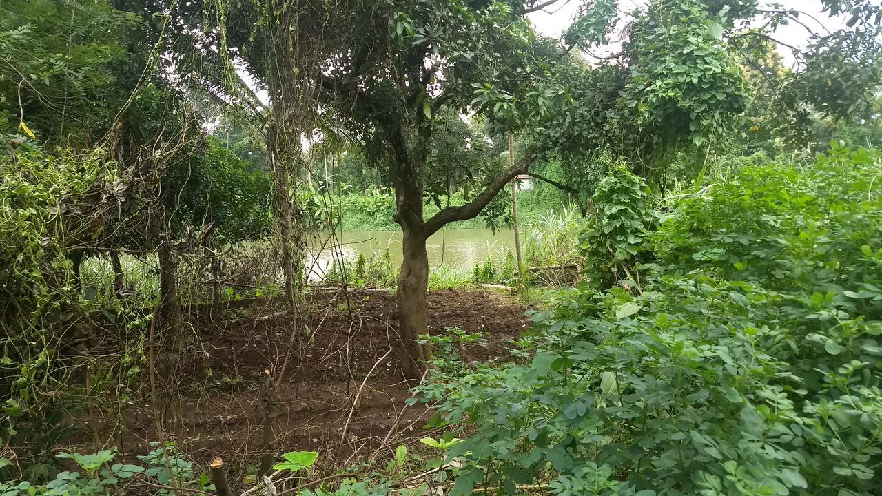 Neelambari Resorts Urakam Exterior foto